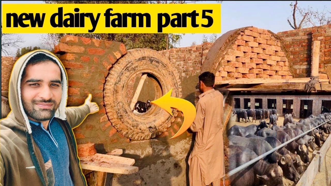 New dairy farm part 5😇||aj new treeka mila design ka