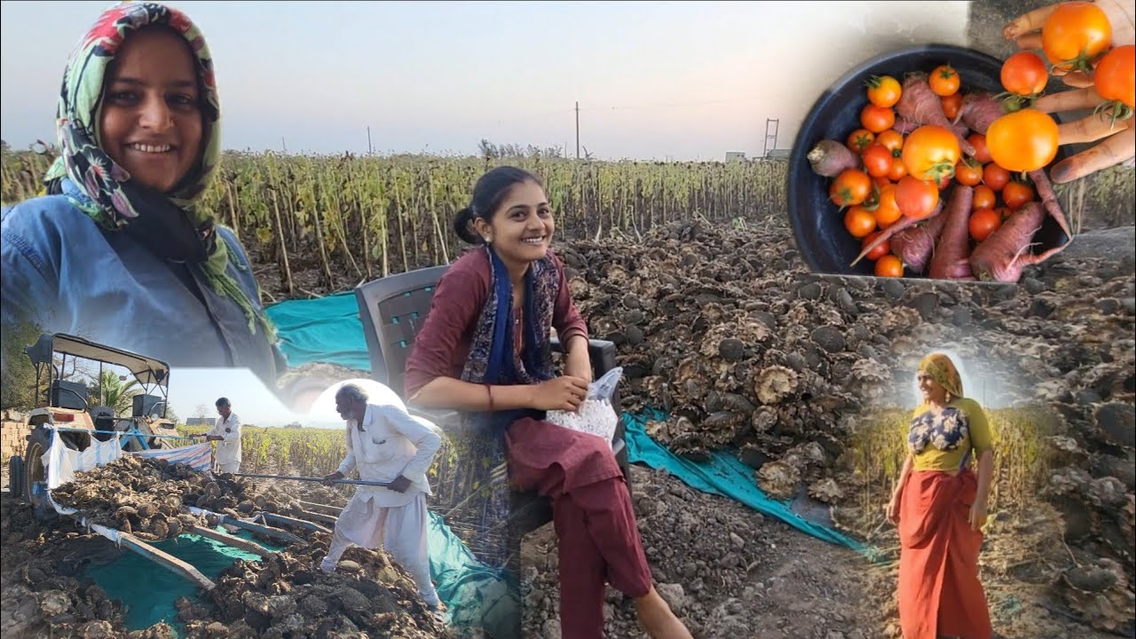 ખેતર માં નવુ કામ || @gujrati village life vlogs