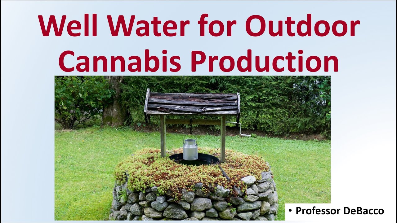 Well Water for Outdoor Cannabis Production