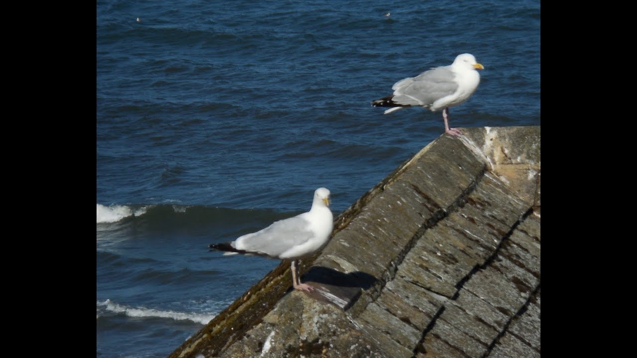 Filey Beach Yorkshire England , Beach at Filey, Filey - YouTube,