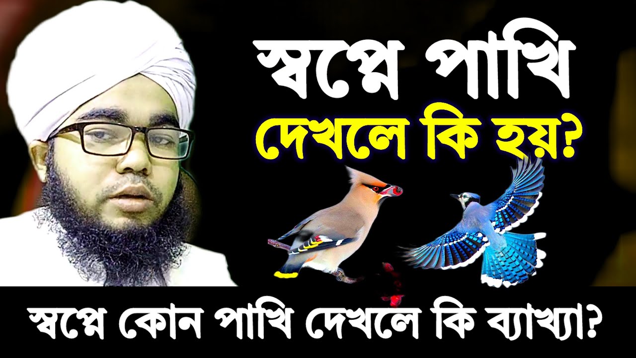 স্বপ্নে পাখি দেখলে কি হয় ? কোন পাখি দেখার কি ব্যাখ্যা | শায়খ হাবিবুল্লাহ