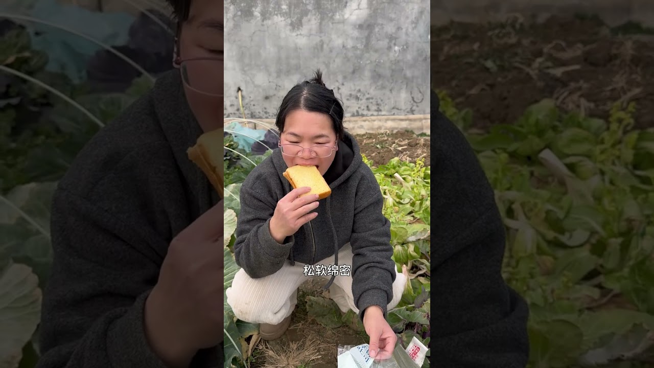 今年4月第一次用吃剩的山药头种山药，没想到居然真的种出了山药，还挖到了山药王#山药 #种山药 #挖山药 #种植的乐趣 #抖音商城秒杀