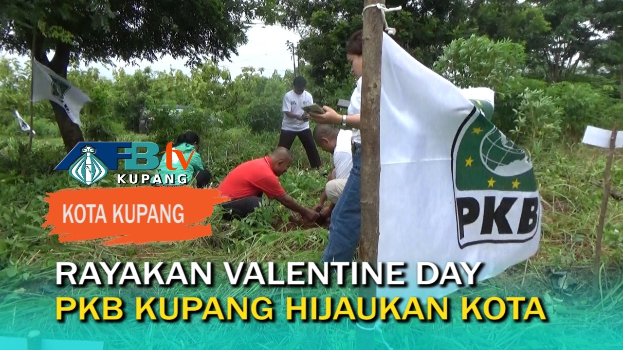 Hari Kasih Sayang, PKB Kota Kupang Tebar Cinta Lewat Aksi Tanam Pohon