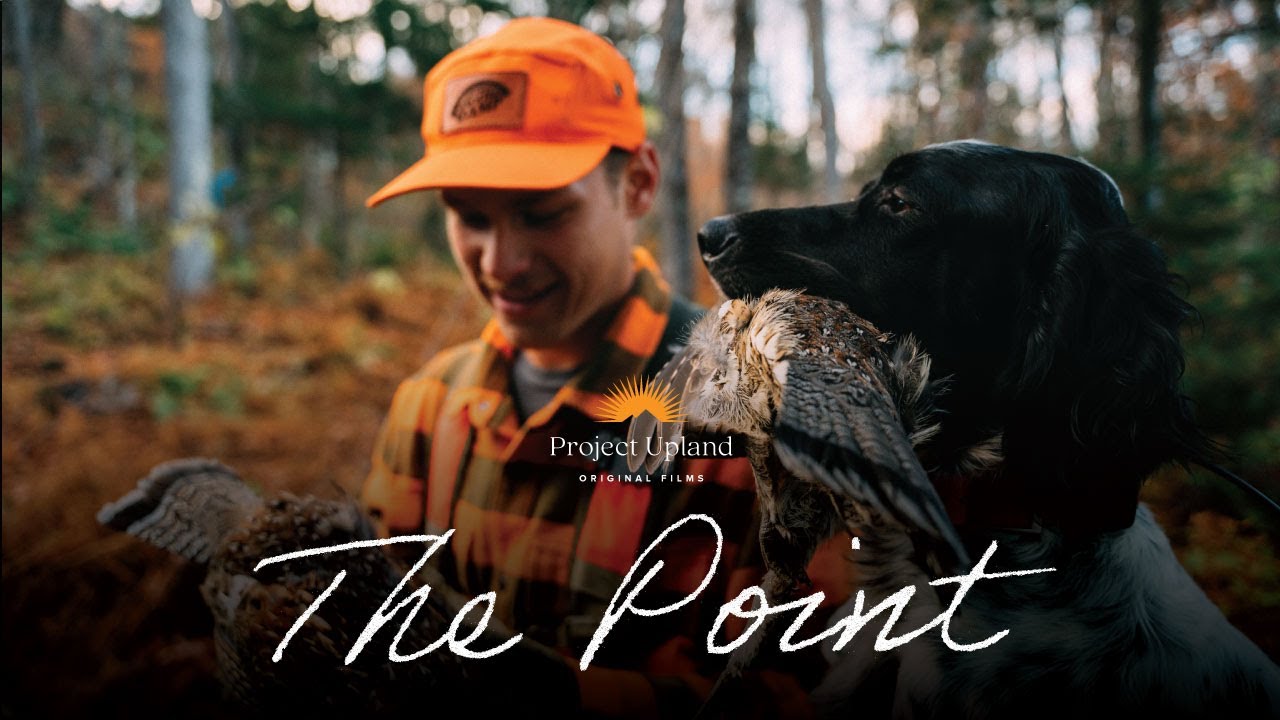 The Point — 10 лет отмеченному наградами проекту Upland Film Series
