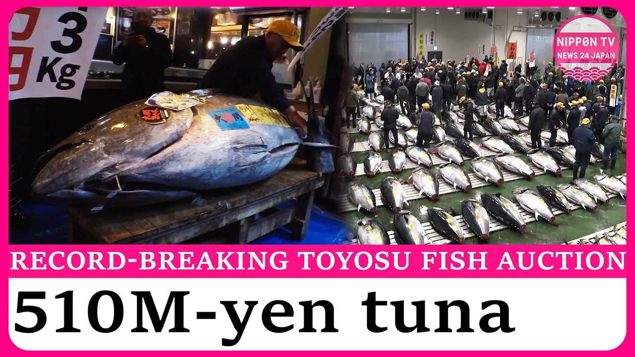 Tuna and sea urchin fetch record prices at Toyosu fish market&rsquo;s New Year auction