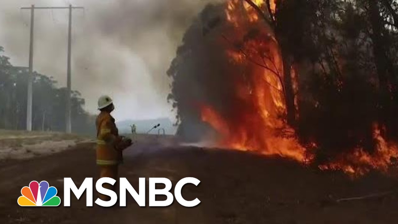 Expert Says Australia Fires Direct &lsquo;Impact Of Human Caused Climate Change&rsquo; | The Last Word | MSNBC