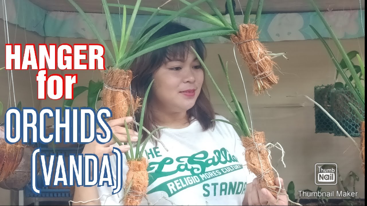 DIY: WIRE HANGER PLANTERS FOR ORCHIDS (VANDA)