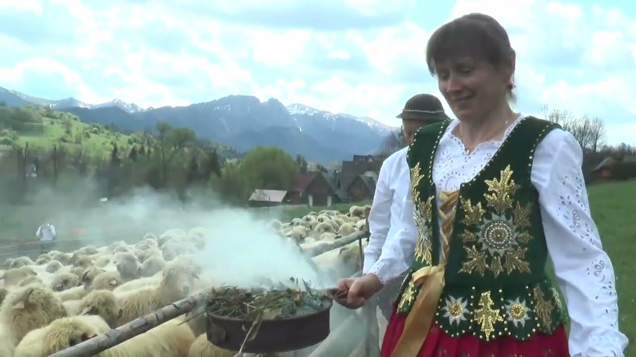 Zakopane Harenda Wiosenny redyk