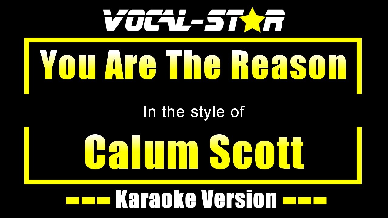 Calum Scott - You Are The Reason (Karaoke Version) Lyrics HD Vocal-Star Karaoke