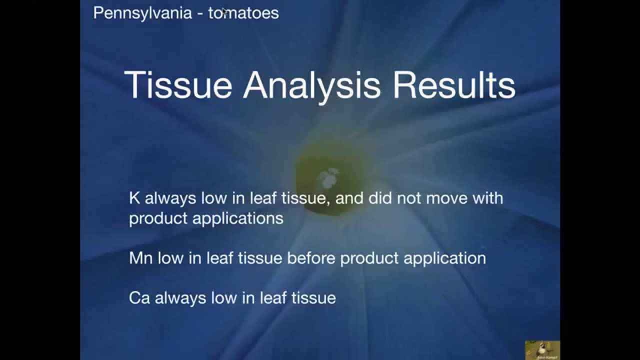 Kempf  Plant sap analysis  emerging technology and the competitive edge for consultants  7 14 15, 7
