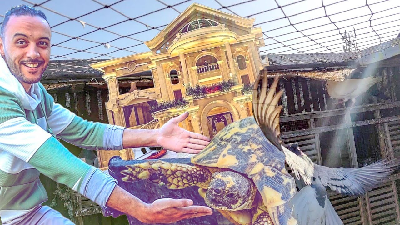 صنعت بيت لزوحلف بعد كشف حقيقة الحمام الغريب للمتابعين (ضميري صحي )🥺