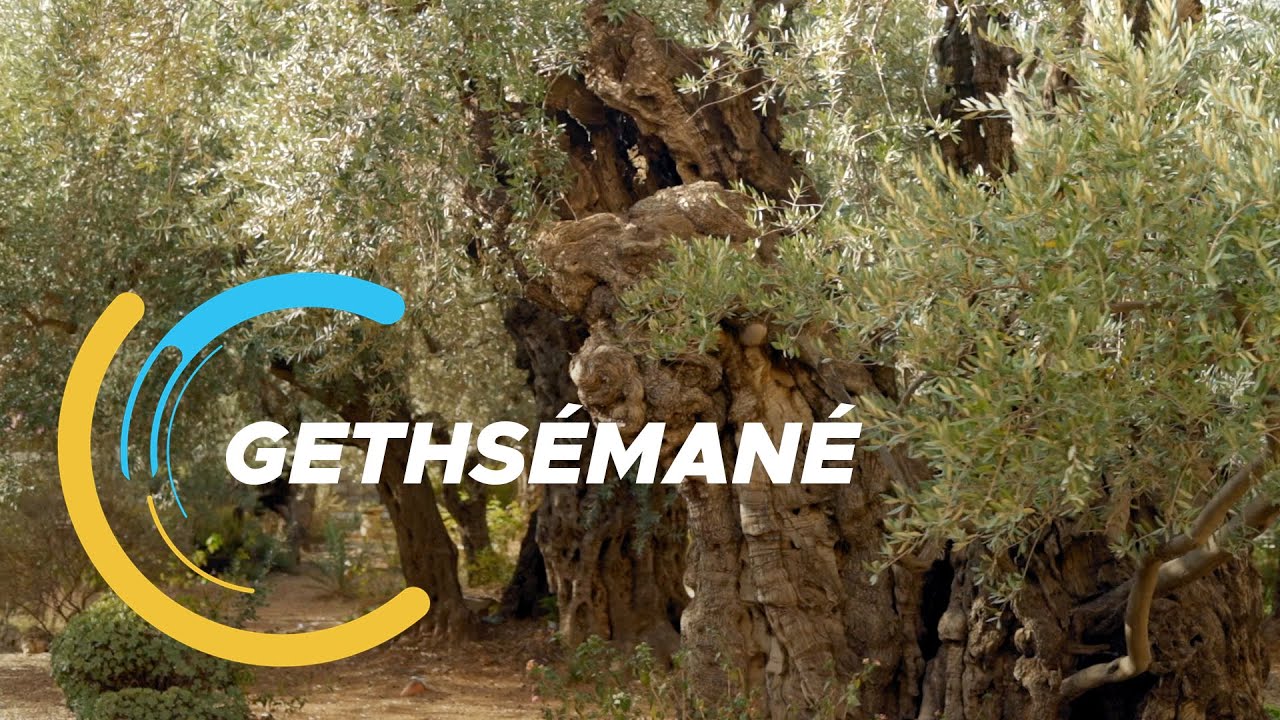 De Verkenners 21: Gethsémané