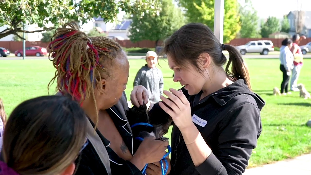 Denver Animal Protection: making a difference for pets & people for over 65 years