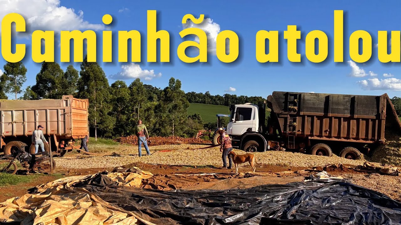 Ajudando socar silagem no silo do vizinho do nosso cliente 