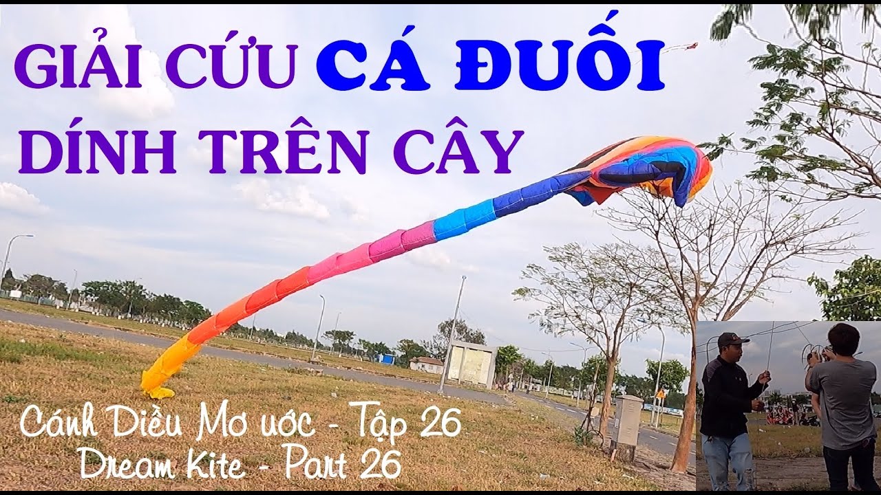 Giải cứu CÁ ĐUỐI bị dính trên cây - Thả Diều Cá Đuối - Cánh Diều Mơ Ước - Tập 26-Dream Kite -Part 26