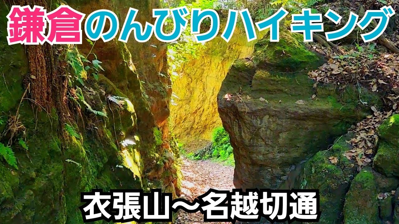 【Kamakura Trip】のんびりハイキングで鎌倉の衣張山から名越切通へ！