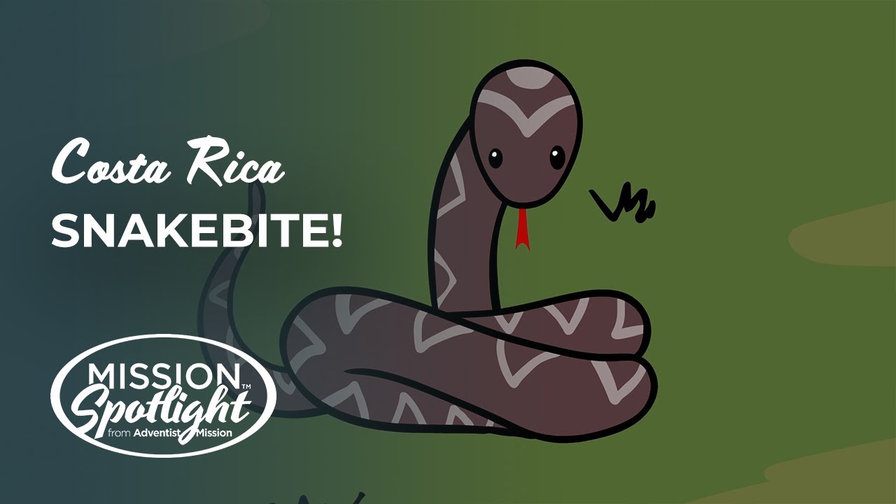 August 24 - Snakebite!