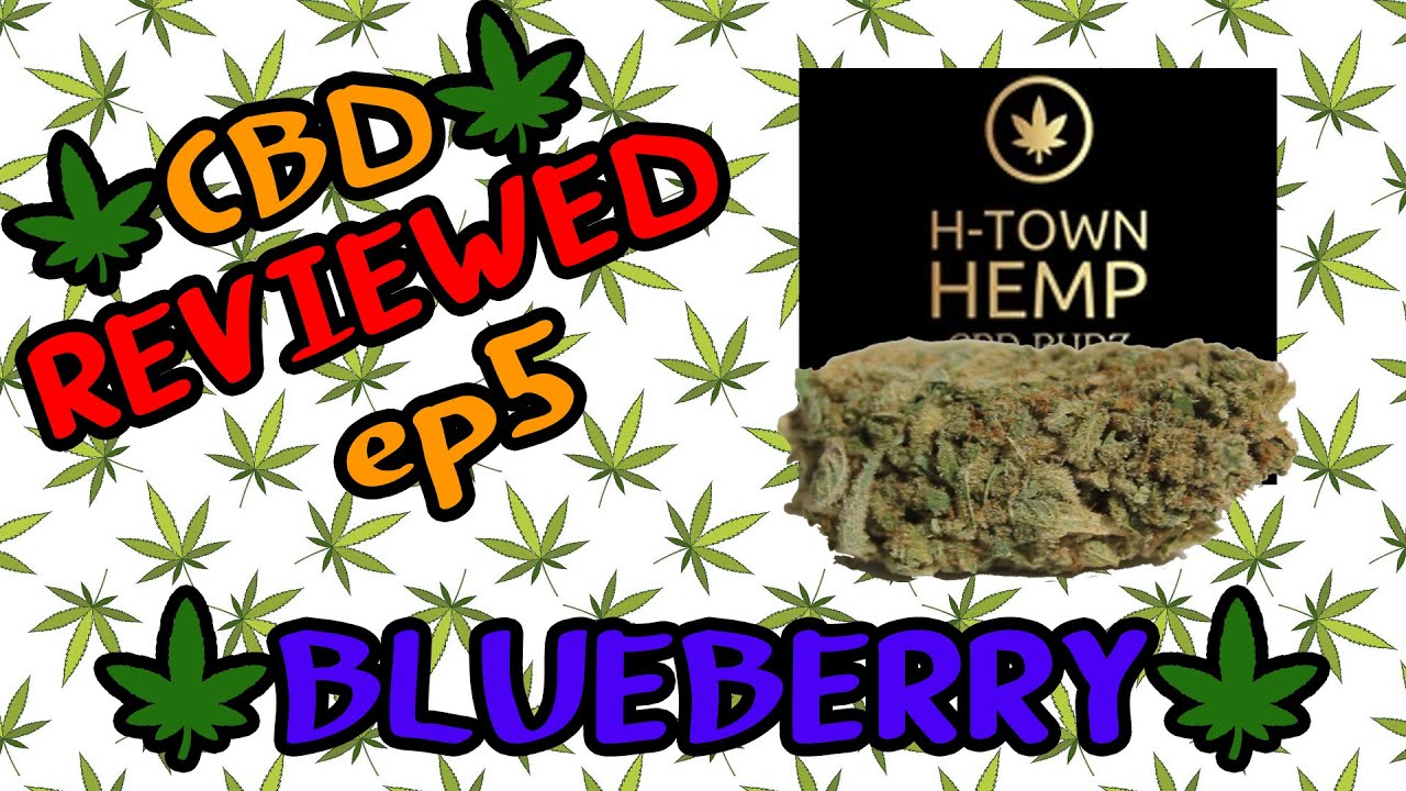 Honest Hemp Reviews EP 5 - BLUEBERRY// H-town Hemp