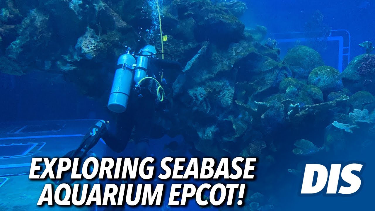 Let's Explore SeaBase Aquarium at EPCOT!