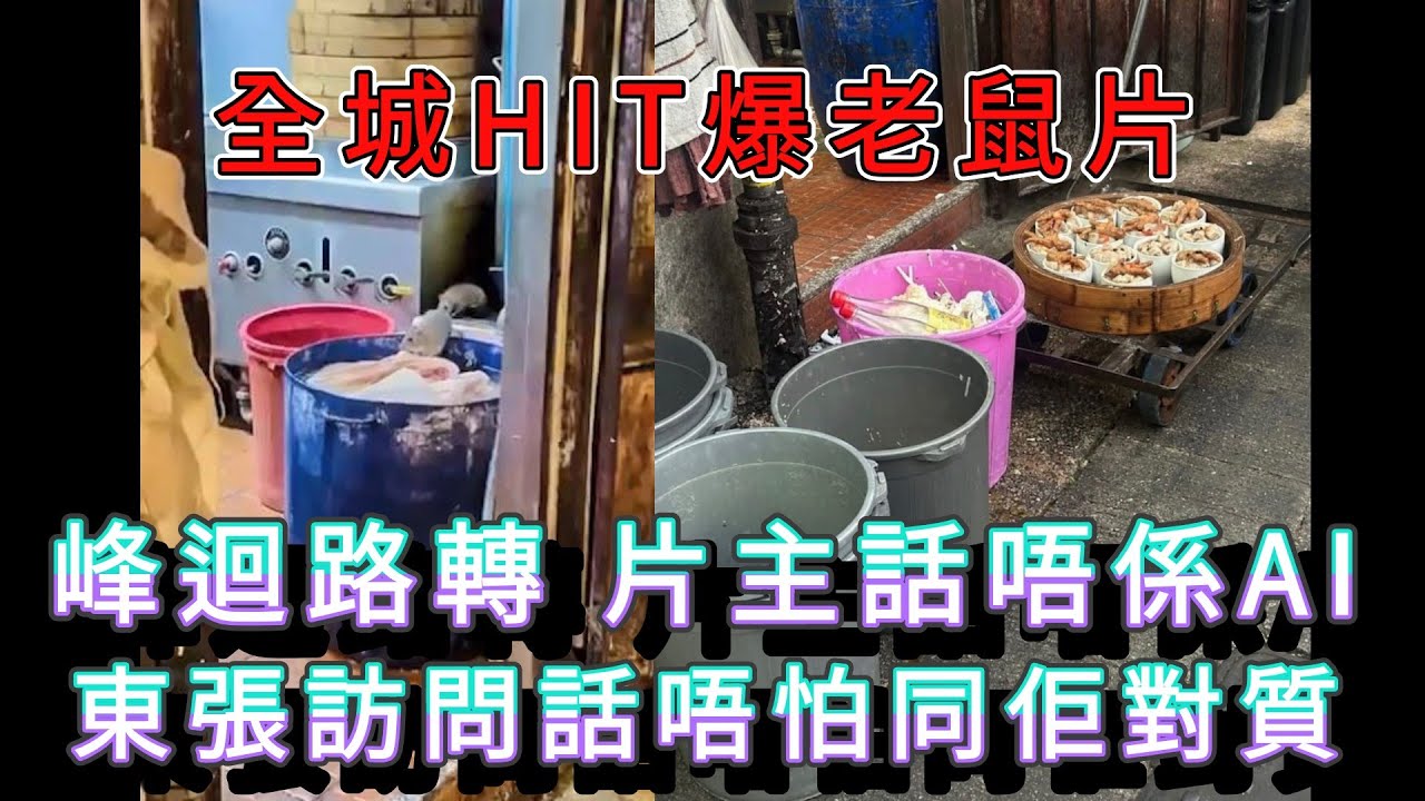 「峰迴路轉 片主話唔係AI 東張訪問話唔怕同佢對質」 #廣東話