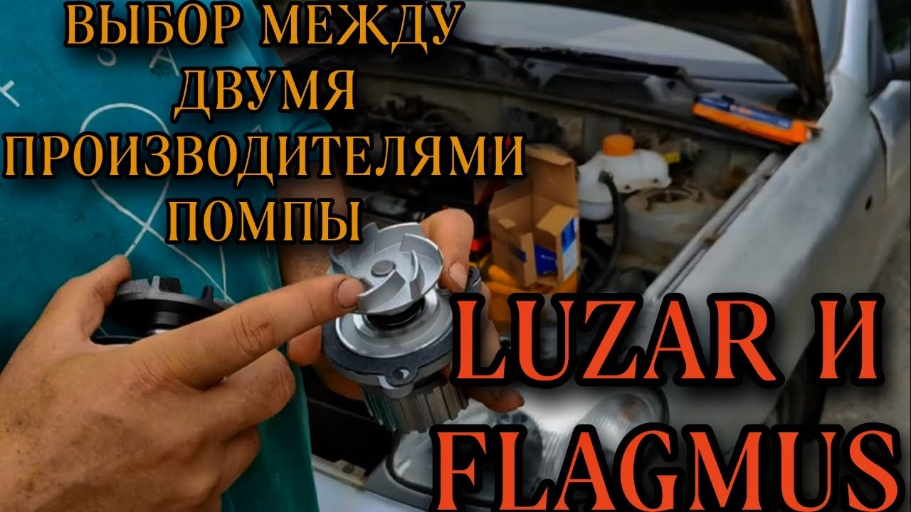 Выбор между двумя производителями помпы. LUZAR и FLAGMUS