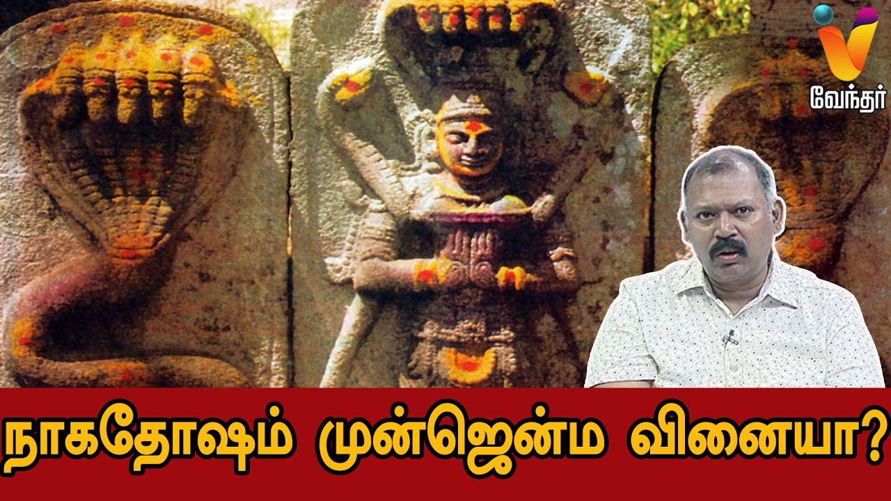 நாக தோஷம் முன்ஜென்ம வினையா? | Jodhidasaval | NadijothidarBabu | Naga Dosham