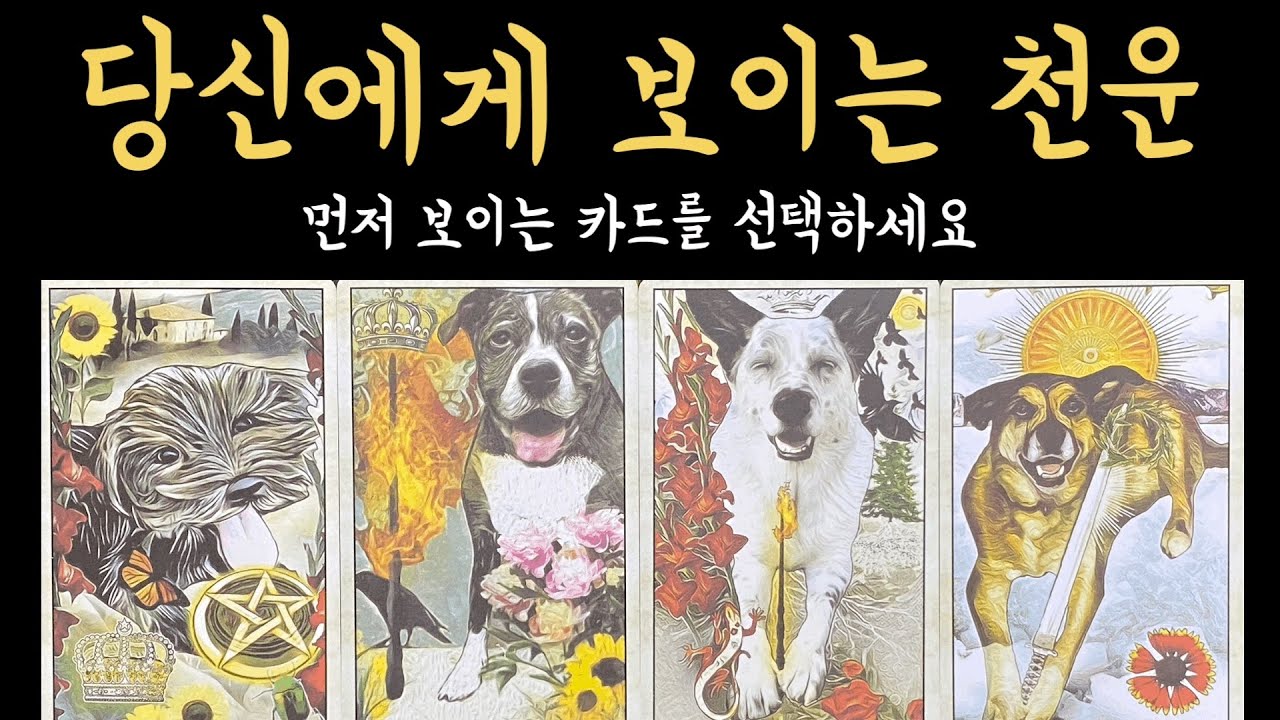 [타로] 99.9% 소름 돋게 맞는 당신에게 보이는 천운, 진심으로 기원합니다🙏🏻
