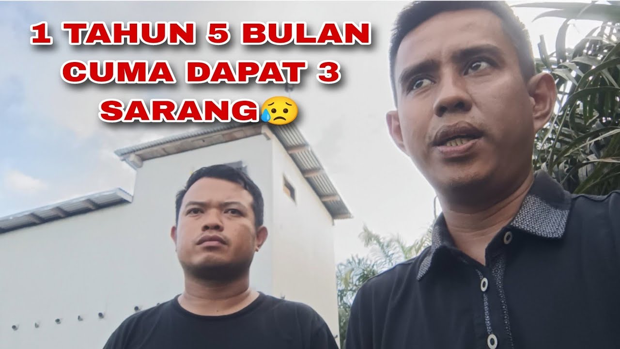 TATA RUANG 4x12 2 LANTAI 1 TAHUN LEBIH CUMA 3 SARANG😥