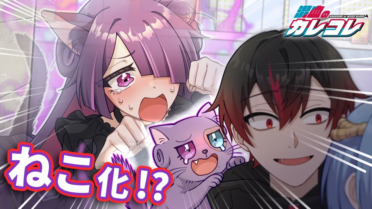 ねこ化して男友達に拾われるとどうなるのか？【アニメ】【漫画】
