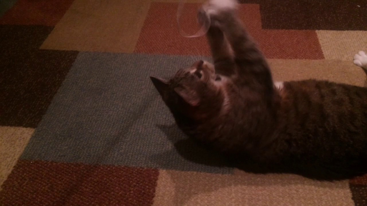 Nerfson