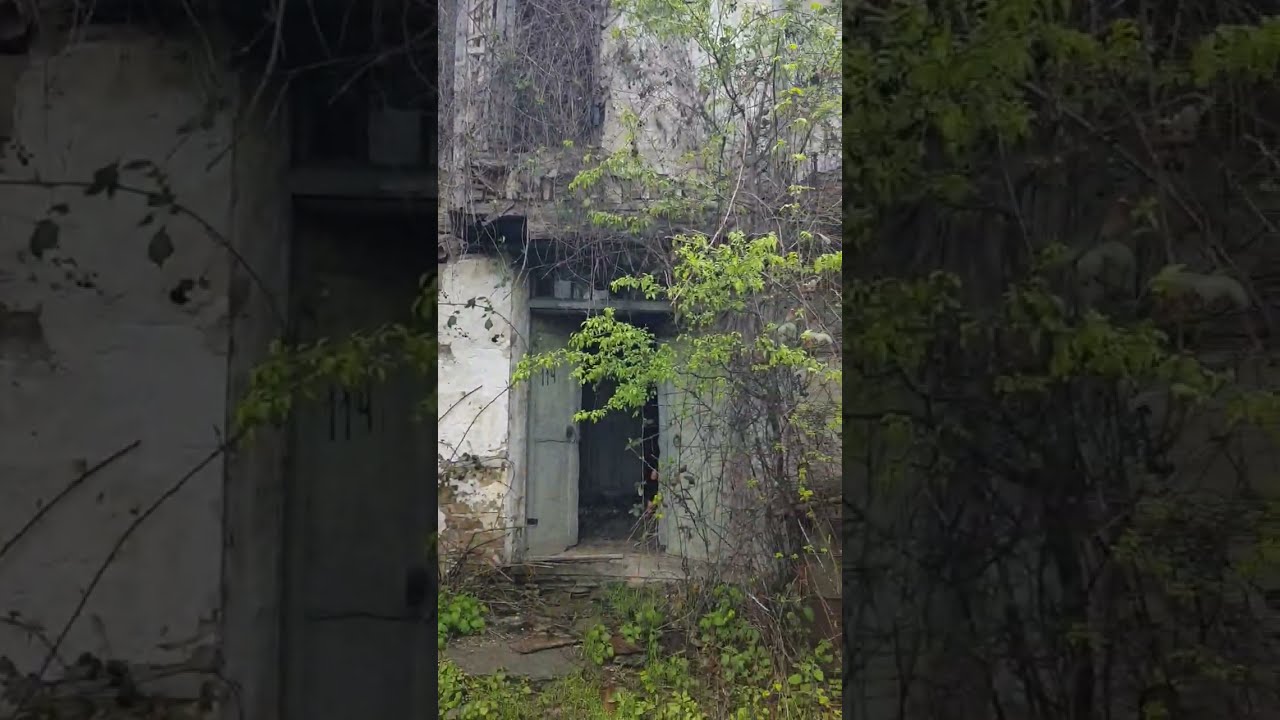 Abandoned Bulgaria - Diadovtsi village, Rhodope mountains