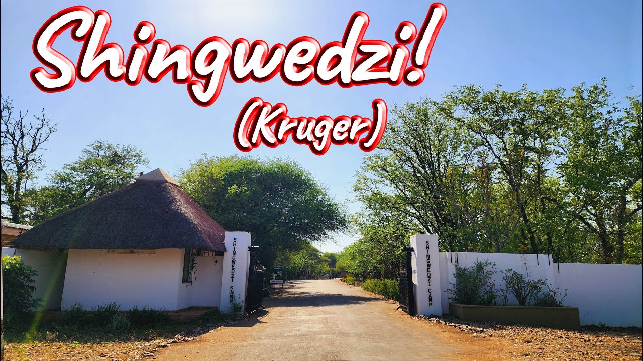 Shingwedzi Rest Camp! Ep 427