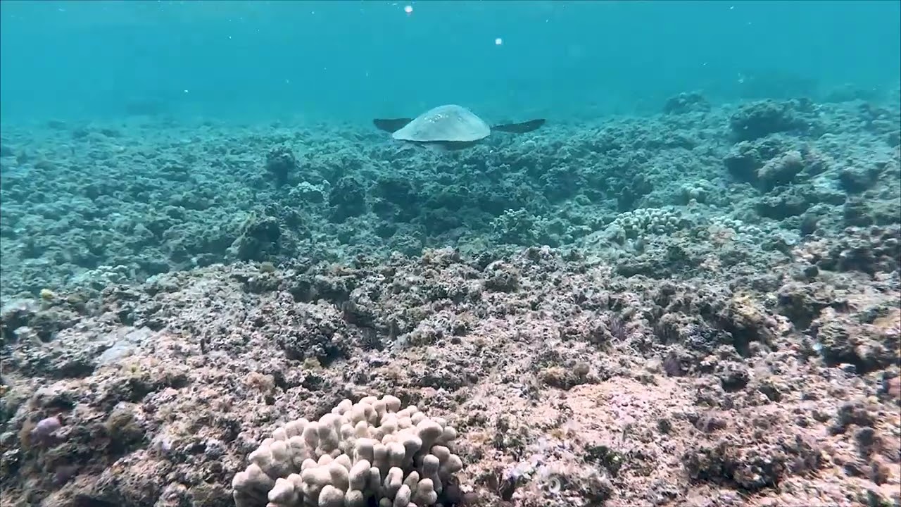 Western Australia, Fiji, Hawaii 2025 Ch. 6, June 12 - 16