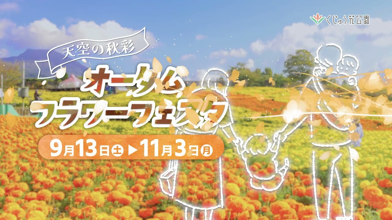 〜空とつながる天空の花畑〜くじゅう花公園オータムフラワーフェスタ開催！九州最大規模のケイトウ畑『ブライトスパークス』が高原を染め上げる！