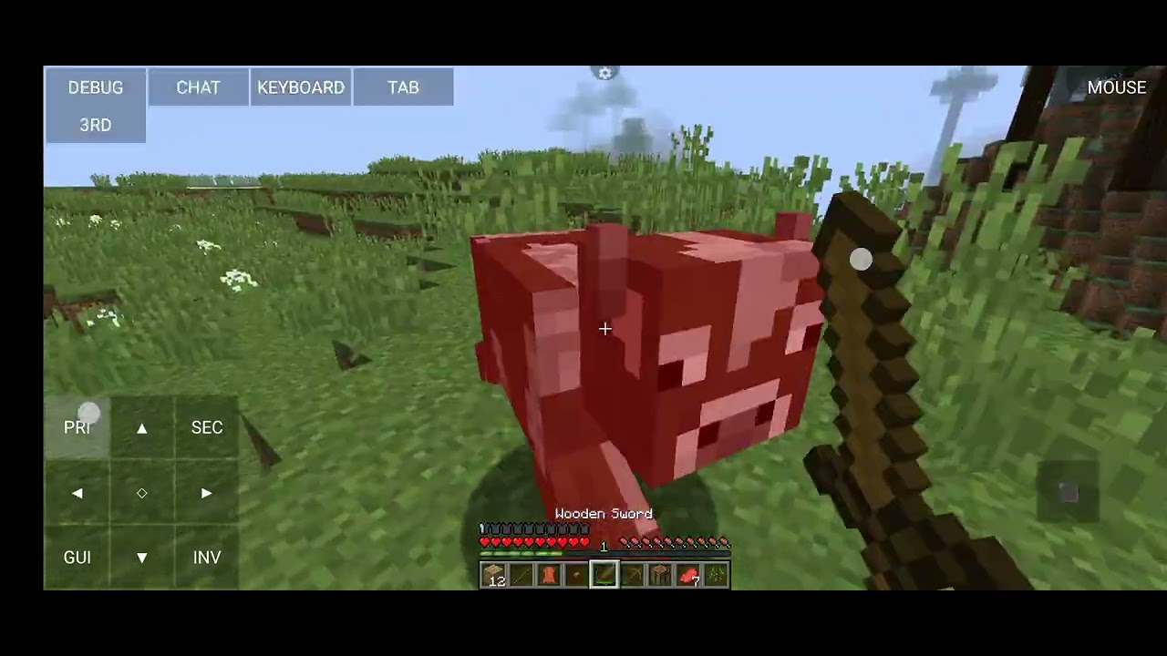 Minecraft survival (1)