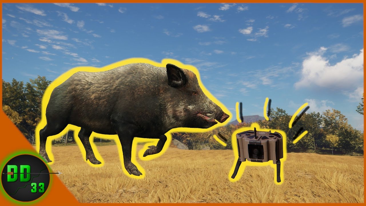 Calling In WILD BOAR with The Electronic Game Caller! Call Of The Wild