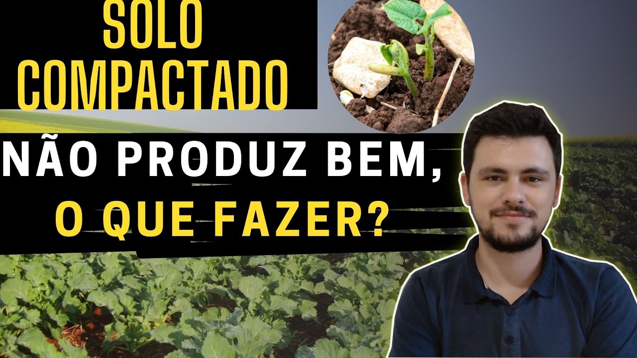 Solo compactado não produz bem, O que fazer?