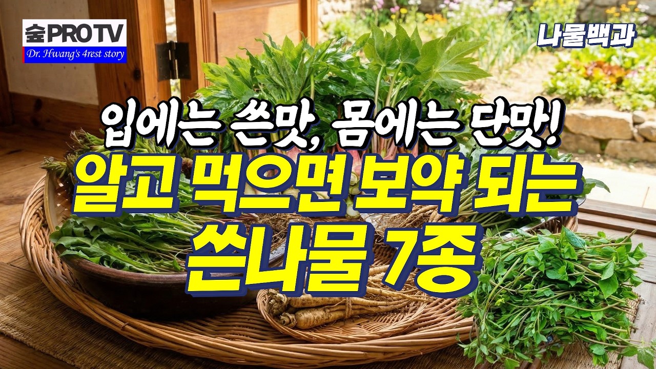 입에는 쓴맛 몸에는 단맛, 몸에 좋은 쓴 나물 7종