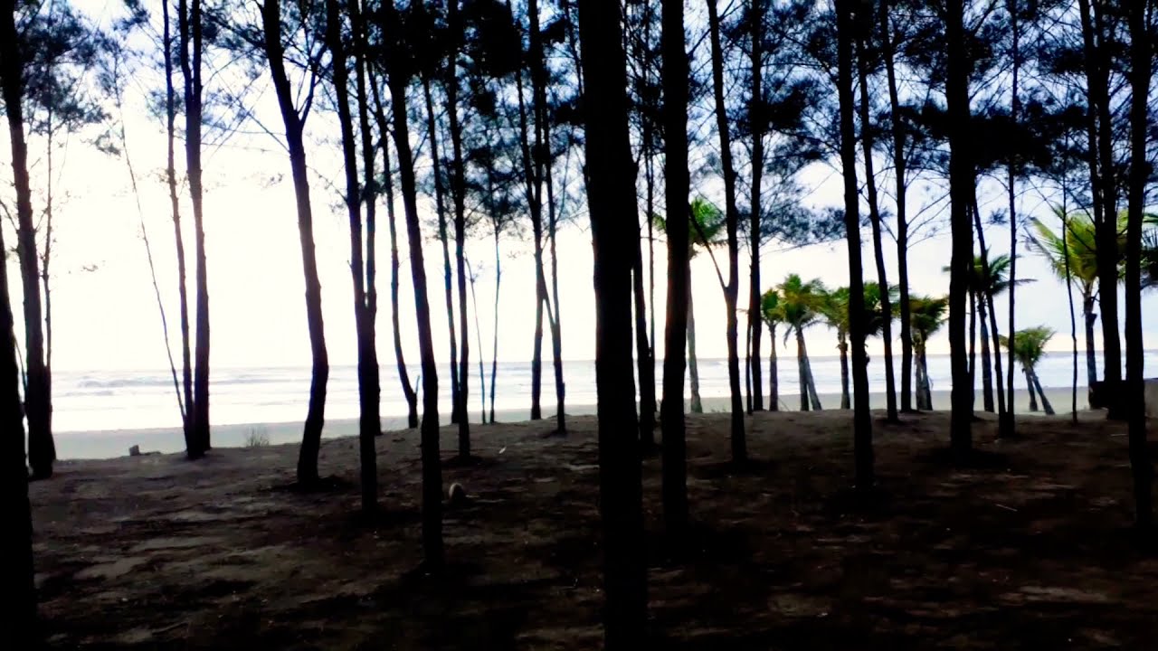 Itanha&eacute;m - Bopiranga Praia dos Pinheirinhos - Sexta19/03/21 #Itanha&eacute;m #Praia #Bopiranga #Natureza