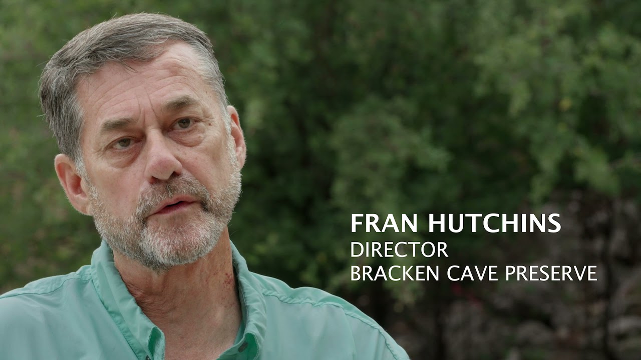 Bracken Cave Preserve