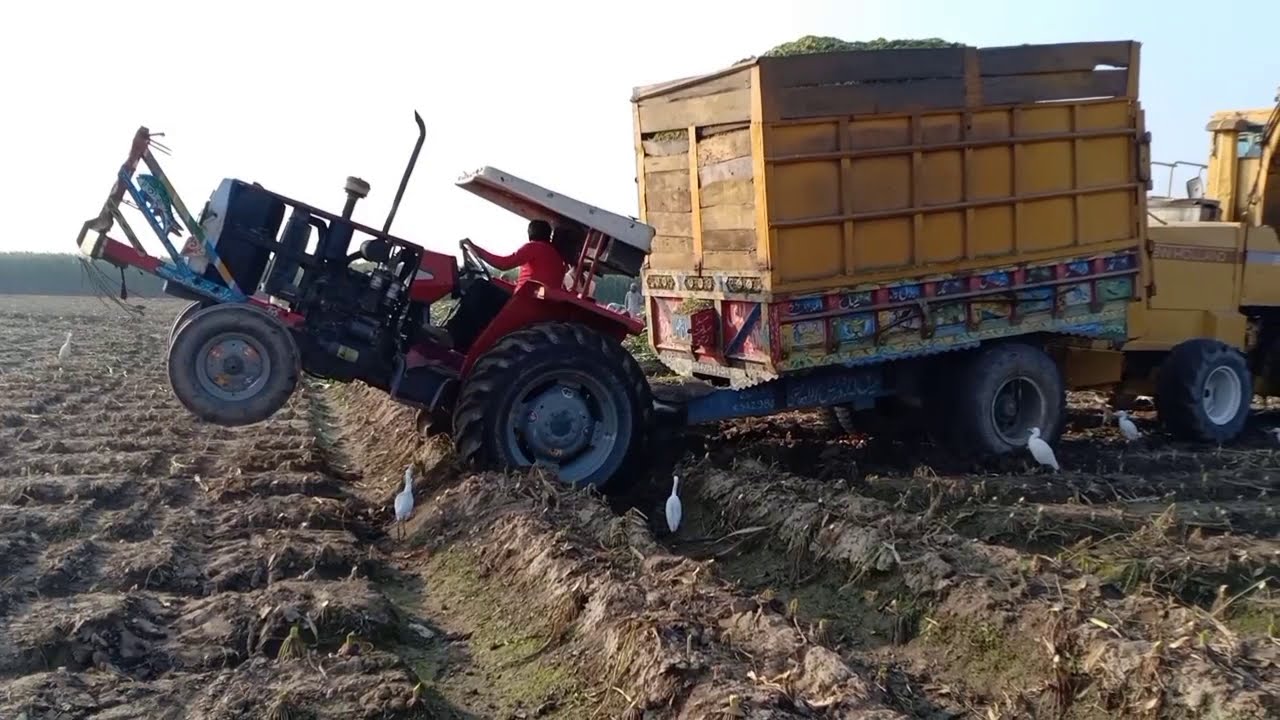 Massey 375 Tractor 2017 model chaloge ki trali parv full load
