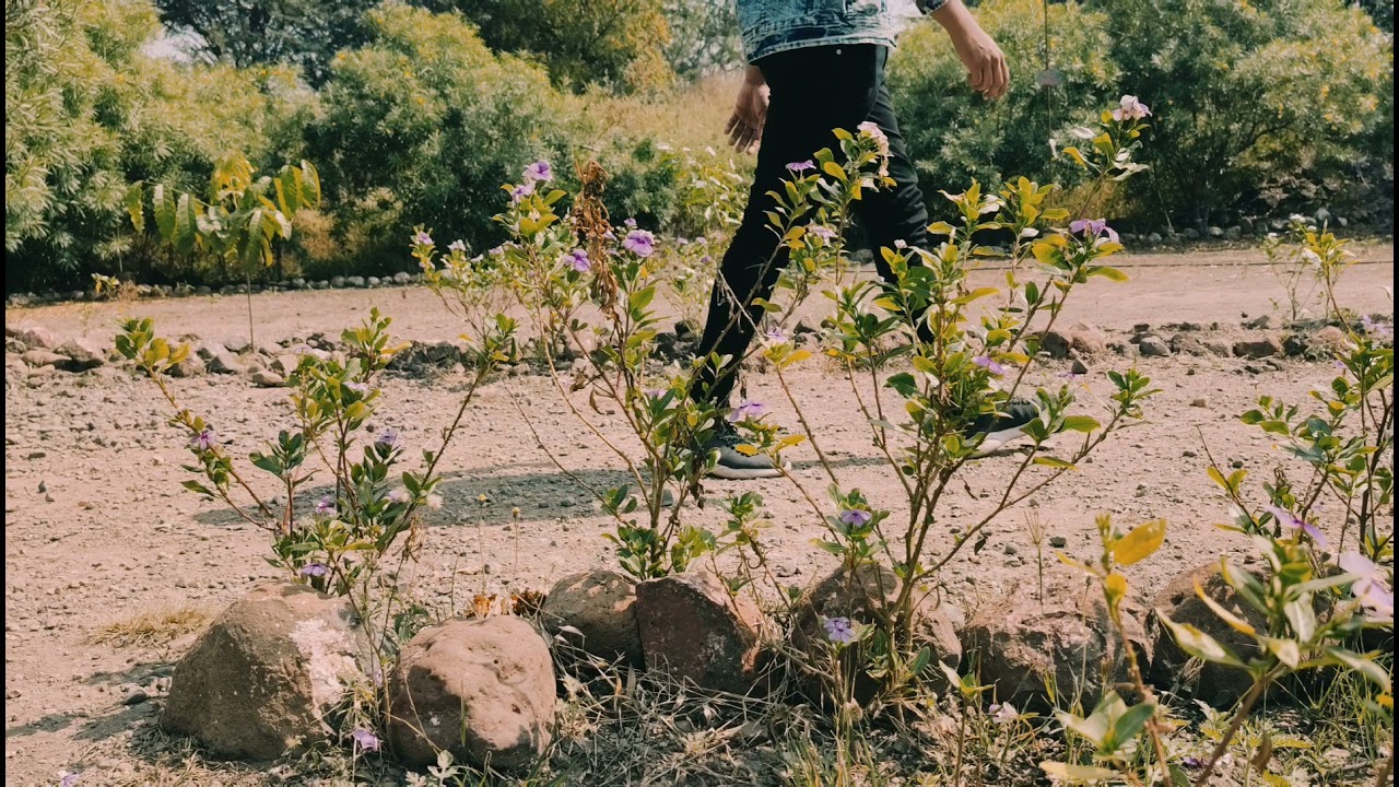 Created with mi / Redmi / Xiaomi / Poco VLOG mode - By The Rare Traveler