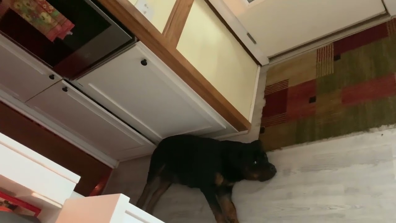 If I had knew being a mom was like this I would’ve told Buster no