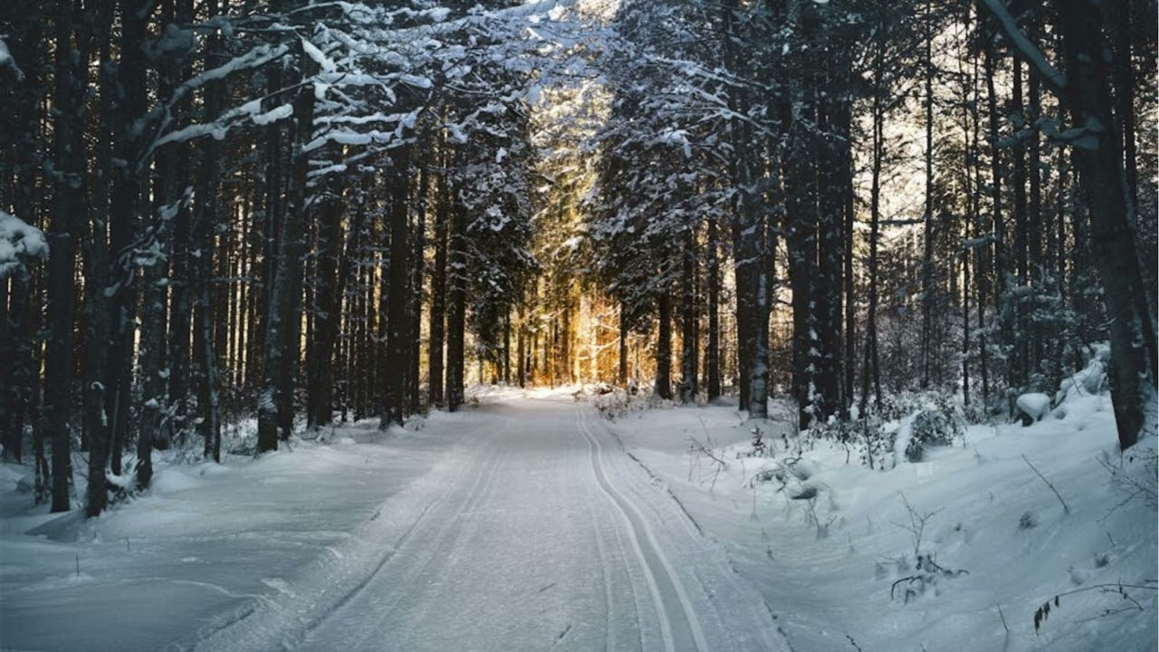 Vintage Winter Free Tv Art Wallpaper Screensaver Home Decor Landscape Forest Snow Digital Cozy