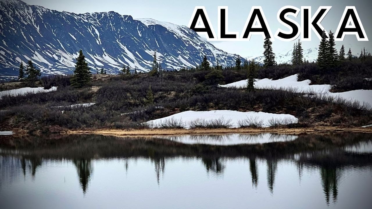Wonderful Wildlife Along the Glenn, Richardson, and Denali Hwys | Roadtrips in Alaska