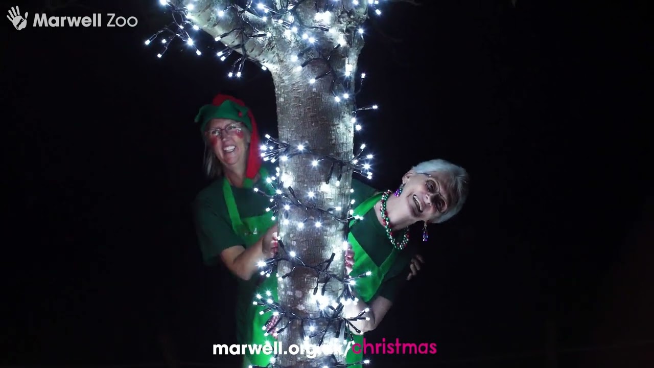 ✨ Double the sparkle at Glow Marwell 2023! ✨