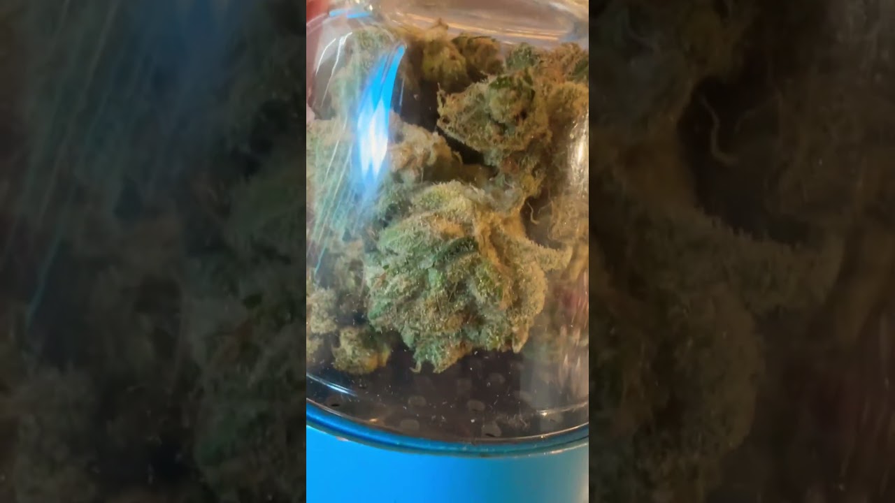 Colorado famous cookies dispensary, ￼￼