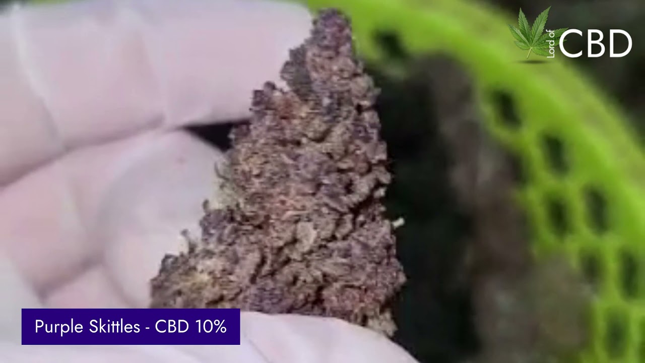 Purple Skittles - Fleur CBD 10% - Lord Of CBD