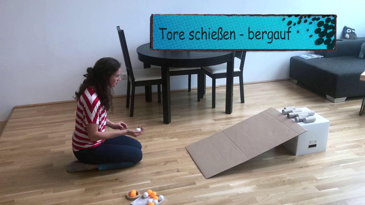 #15 Ergotherapie ONLINE Service - Kraftdosierung, Orientierung, Reaktion