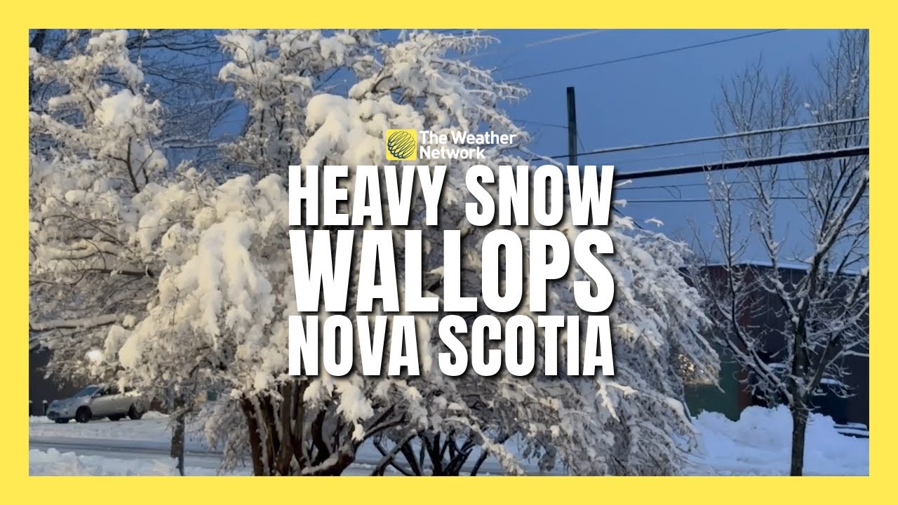Heavy, Wet Snow Wallops N.S., Causing Widespread Outages and Closures
